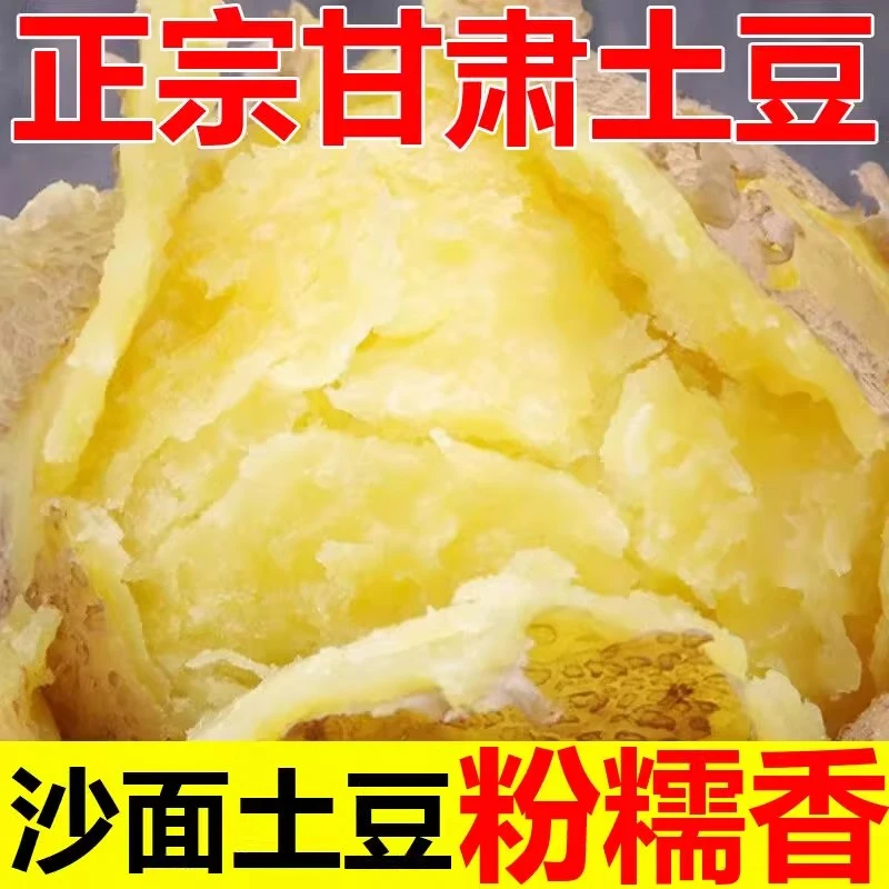 甘肃定西高山土豆洋芋新鲜马铃薯旱沙地种植黄心