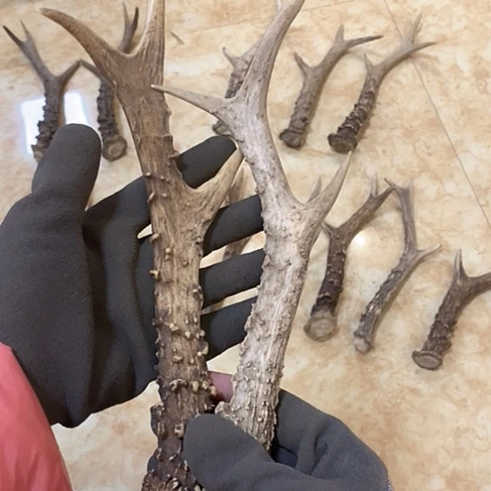 快***鼠银S925鹿鹿。