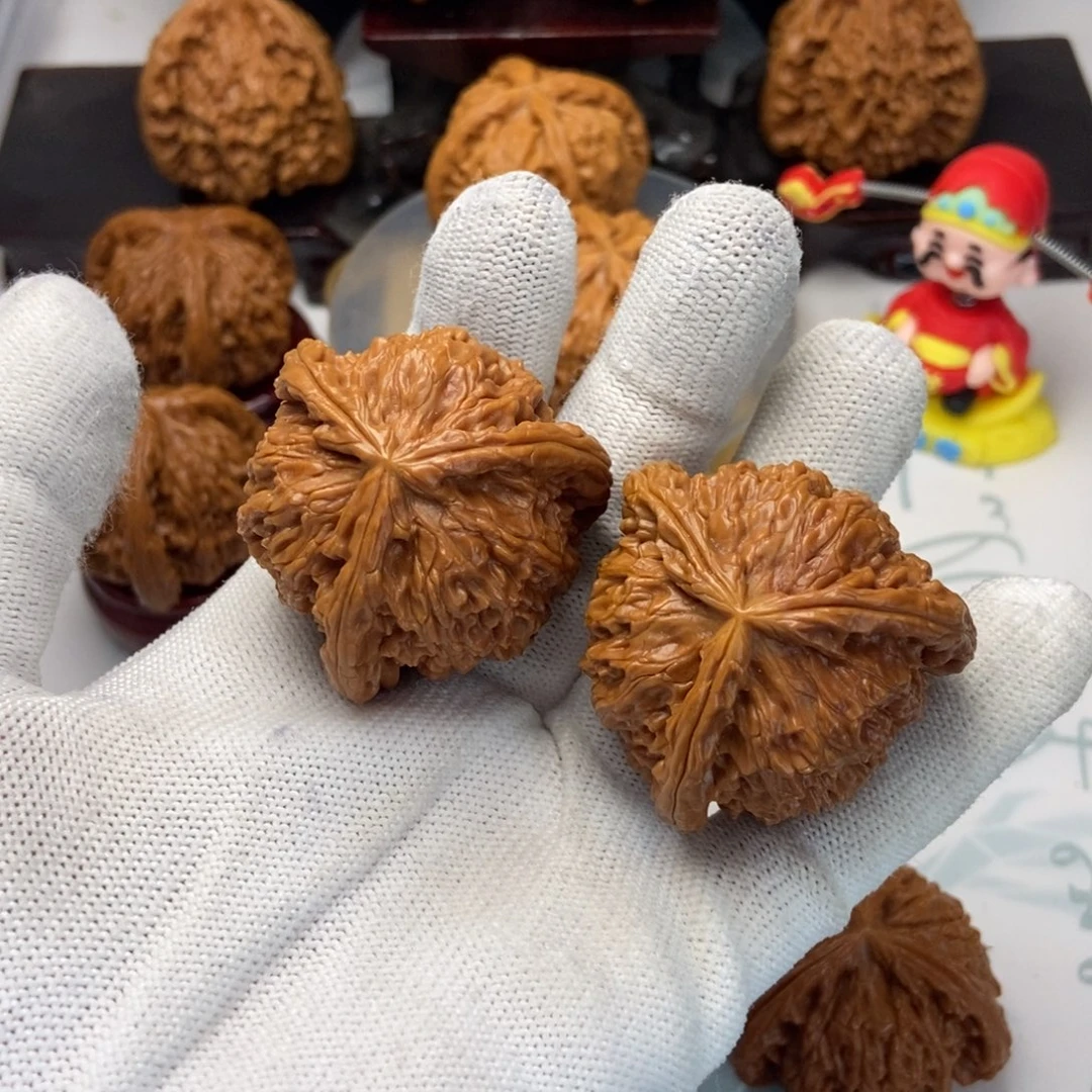 【闪购商品】子*核桃核桃核桃核桃