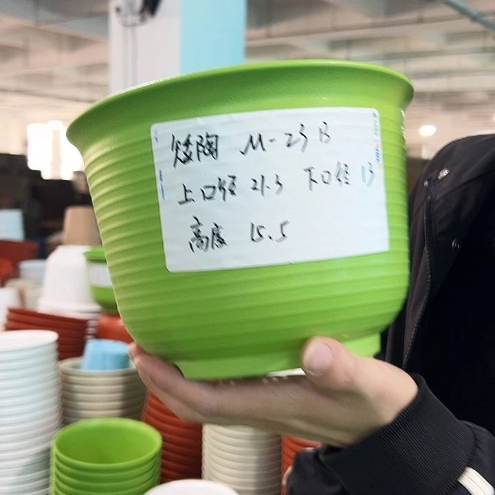 正品矮陶口21高15果绿无托8只