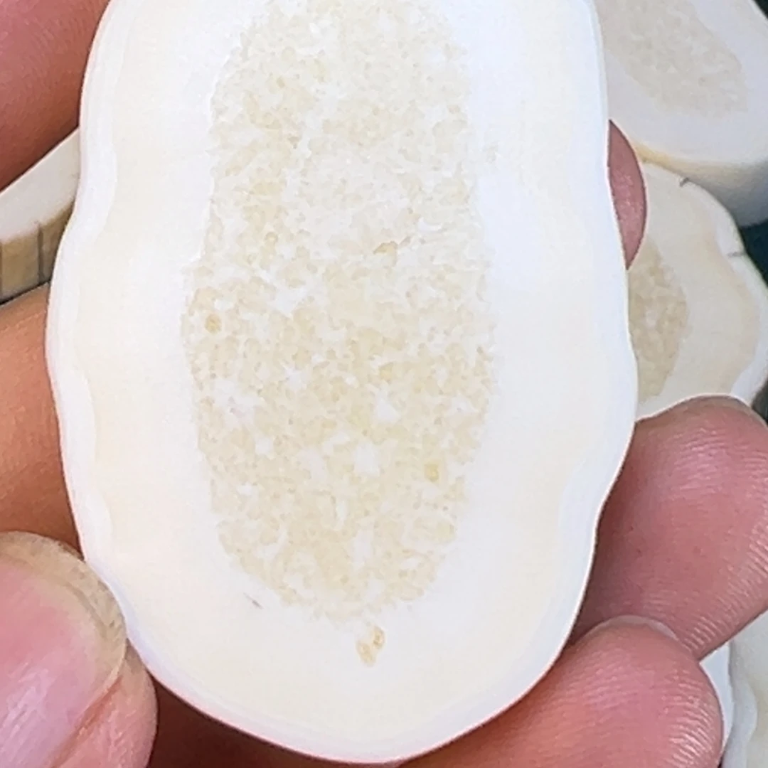 咻***树脂制品海胖饼子