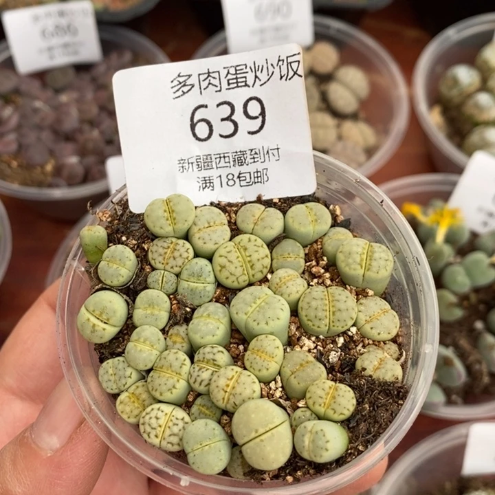 感谢您的支持，00639