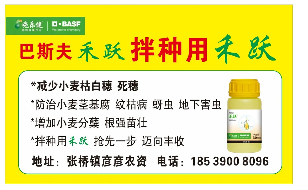 巴斯夫禾跃小麦拌种剂防病减少小麦白穗死穗套餐1套拌120斤