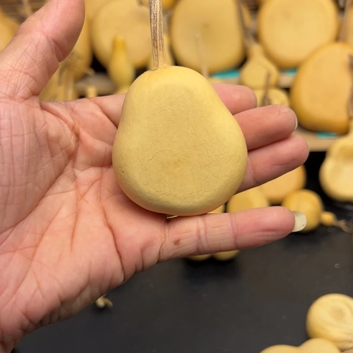 N**c225555565996666696