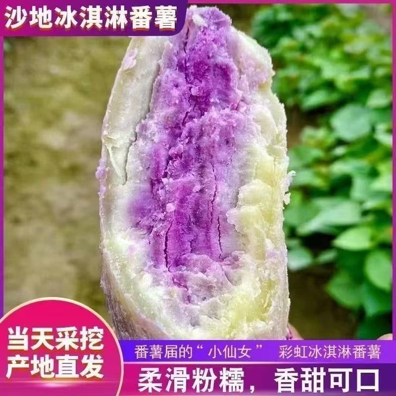 网红冰淇淋番薯粉糯香孩子辅食3/5/9斤装红心番薯现发现挖