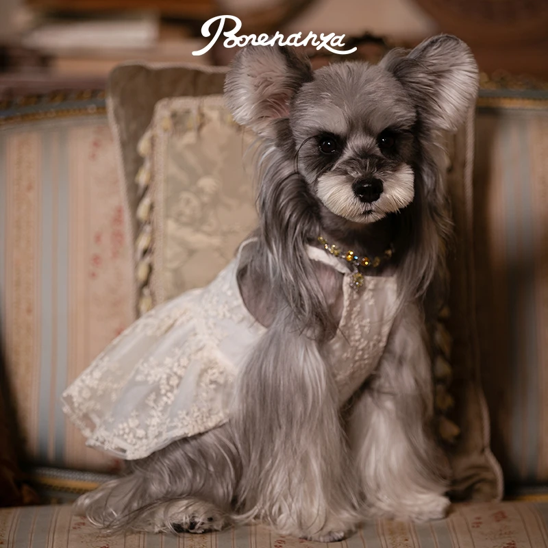 Bonenanza|Banquet蕾丝灵动吊带裙