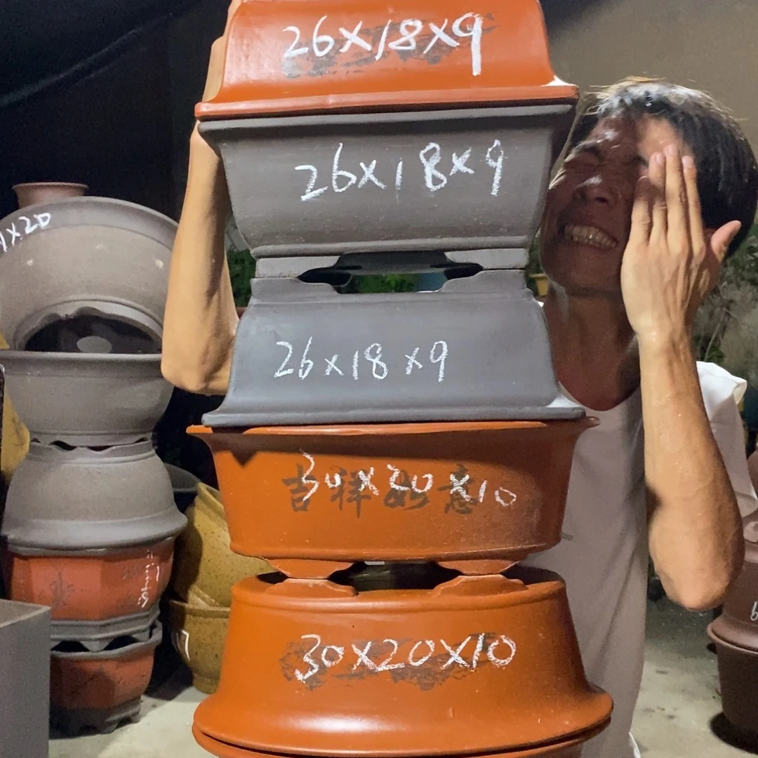 紫砂紫砂紫砂紫砂