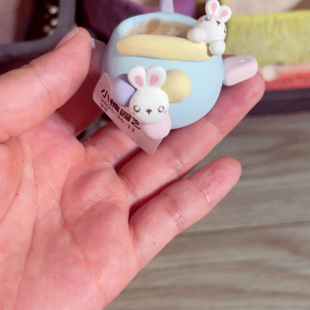 雨***檬33号带盆包邮发货