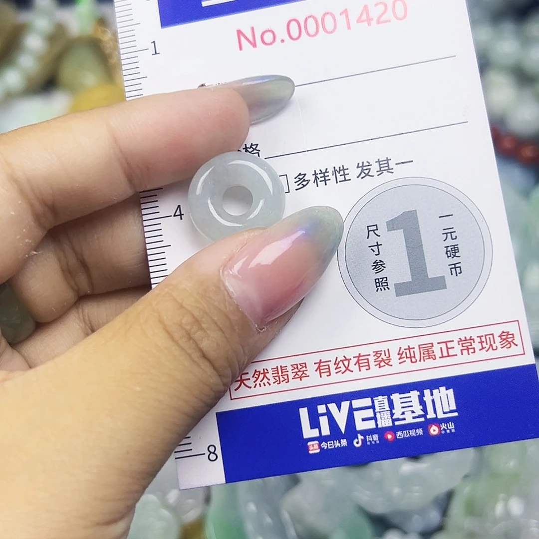 翡翠未镶嵌颈饰11