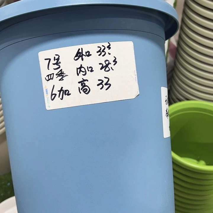 特价7号四季口33高33蓝色无托6只