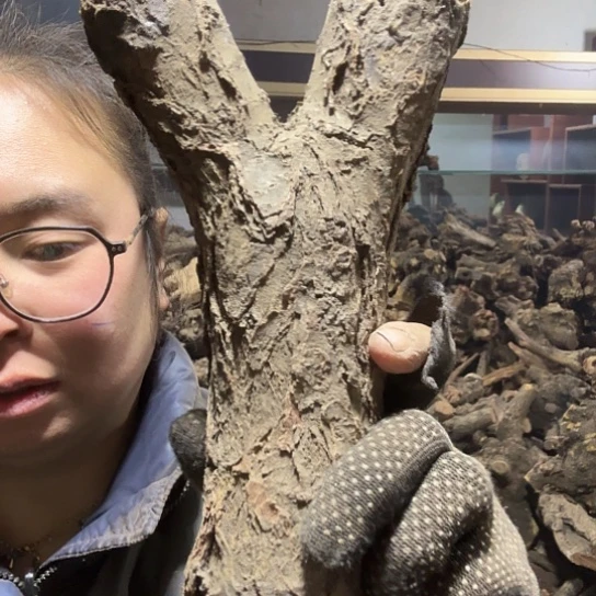 香榧木老****装火琉璃的毛料摆件