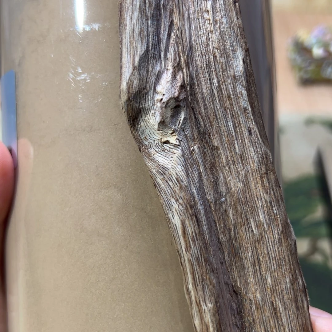 【闪购商品】香榧木海南木料特级虫漏粉50克
