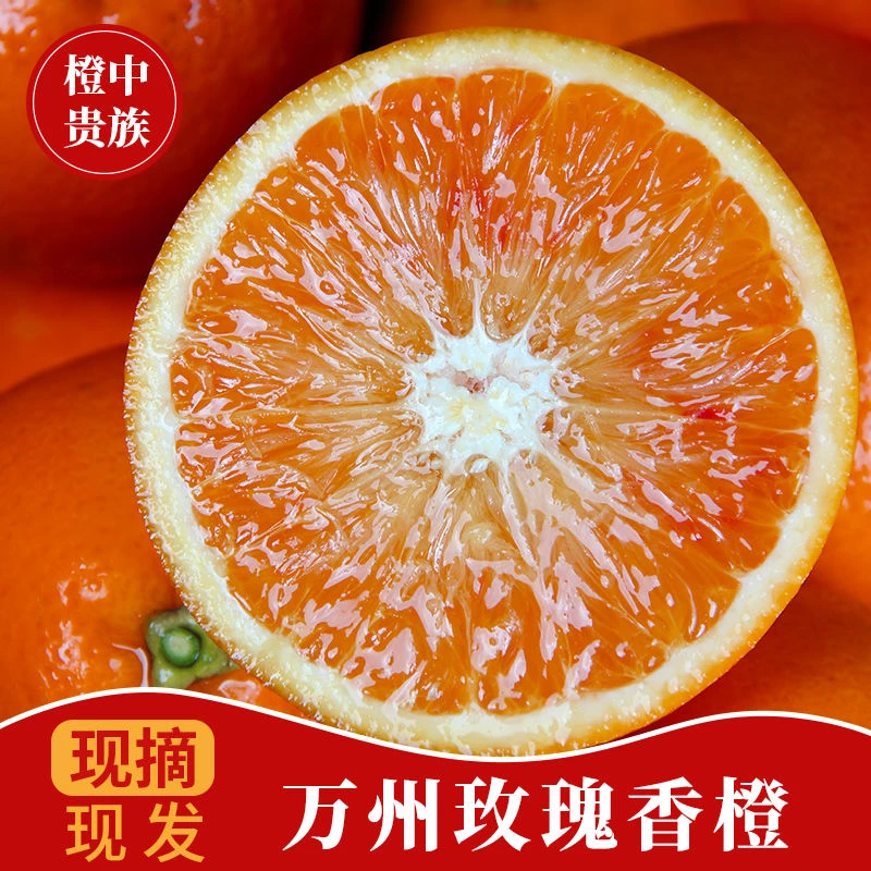 正宗万州玫瑰血橙薄皮手剥橙塔罗科血现摘现发橙当季新鲜应季水果一整箱