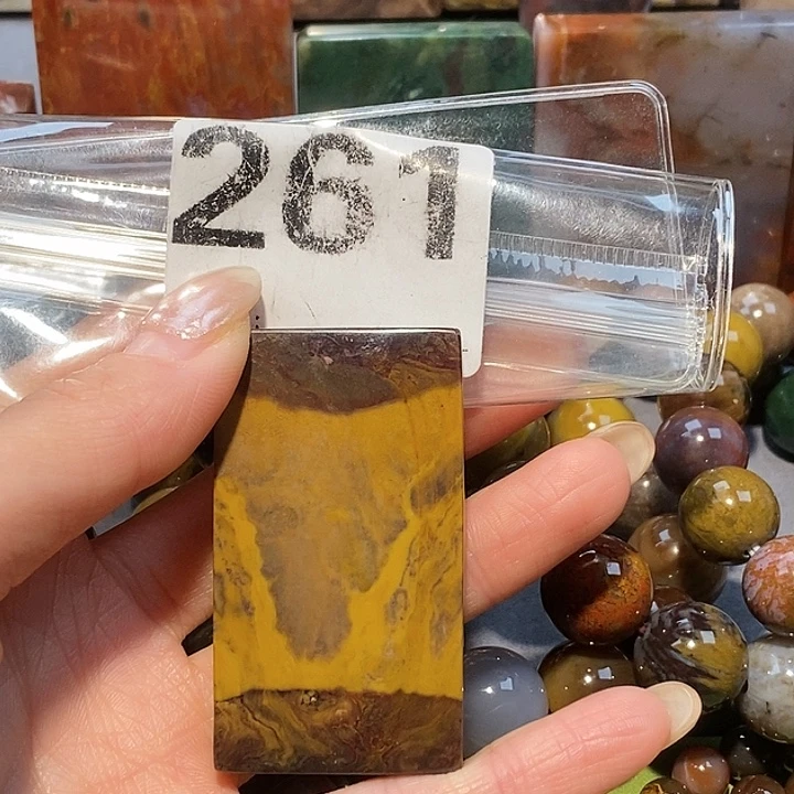 硅化玉未镶嵌天然北票树化玉吊坠