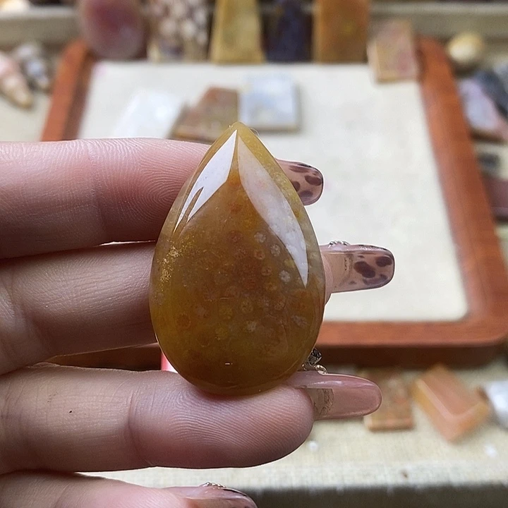 硅化珊瑚（珊瑚玉）未镶嵌颈饰
