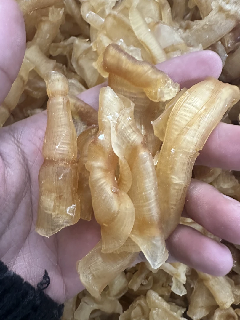 【前记粉丝专属福利】凤尾胶 250克-500克