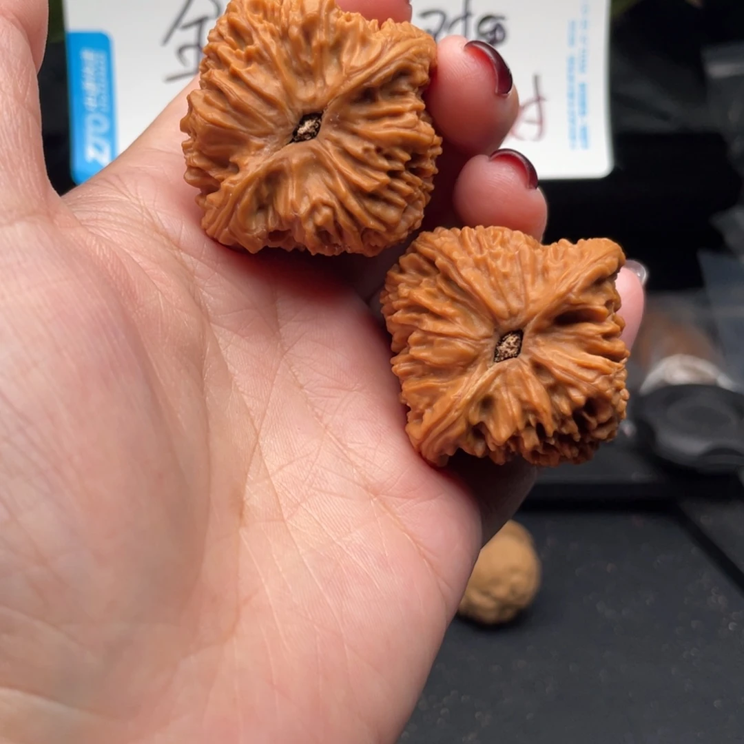 低***头文玩核桃把件南将石