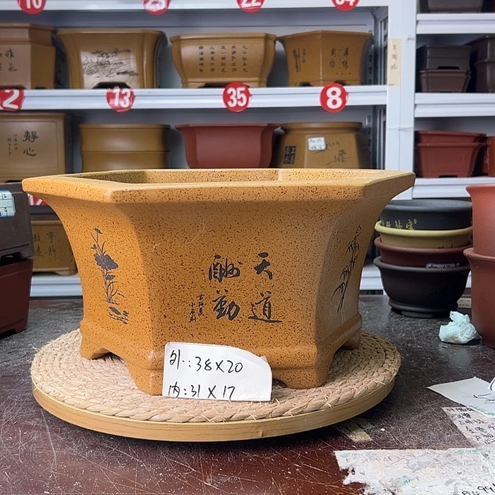 紫砂花盆蛇年大吉