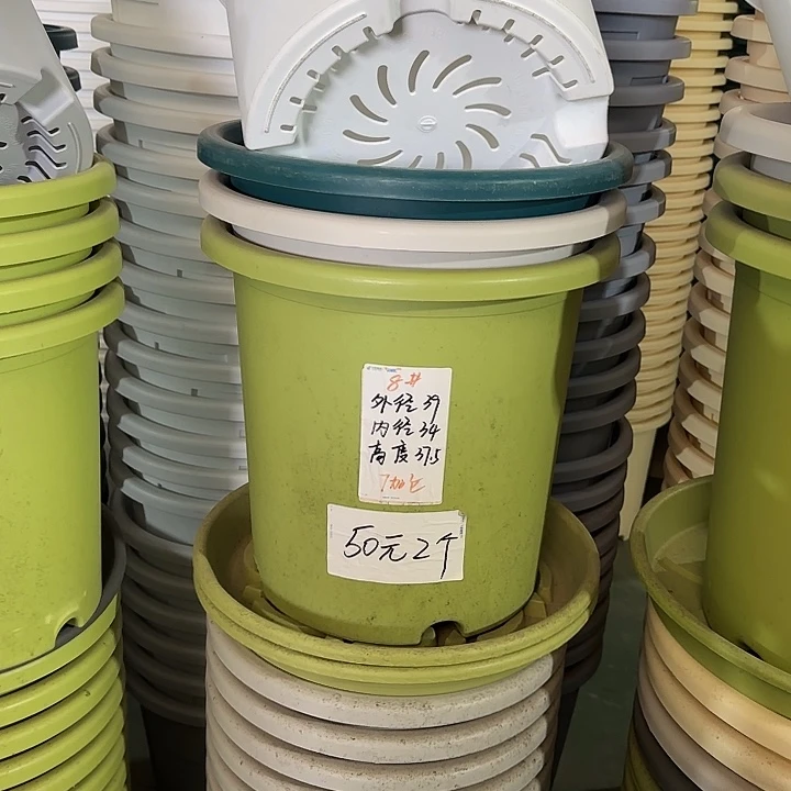 微瑕8#口径39无托果绿5个