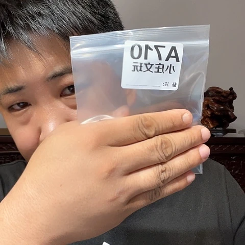 【闪购商品】香榧木710