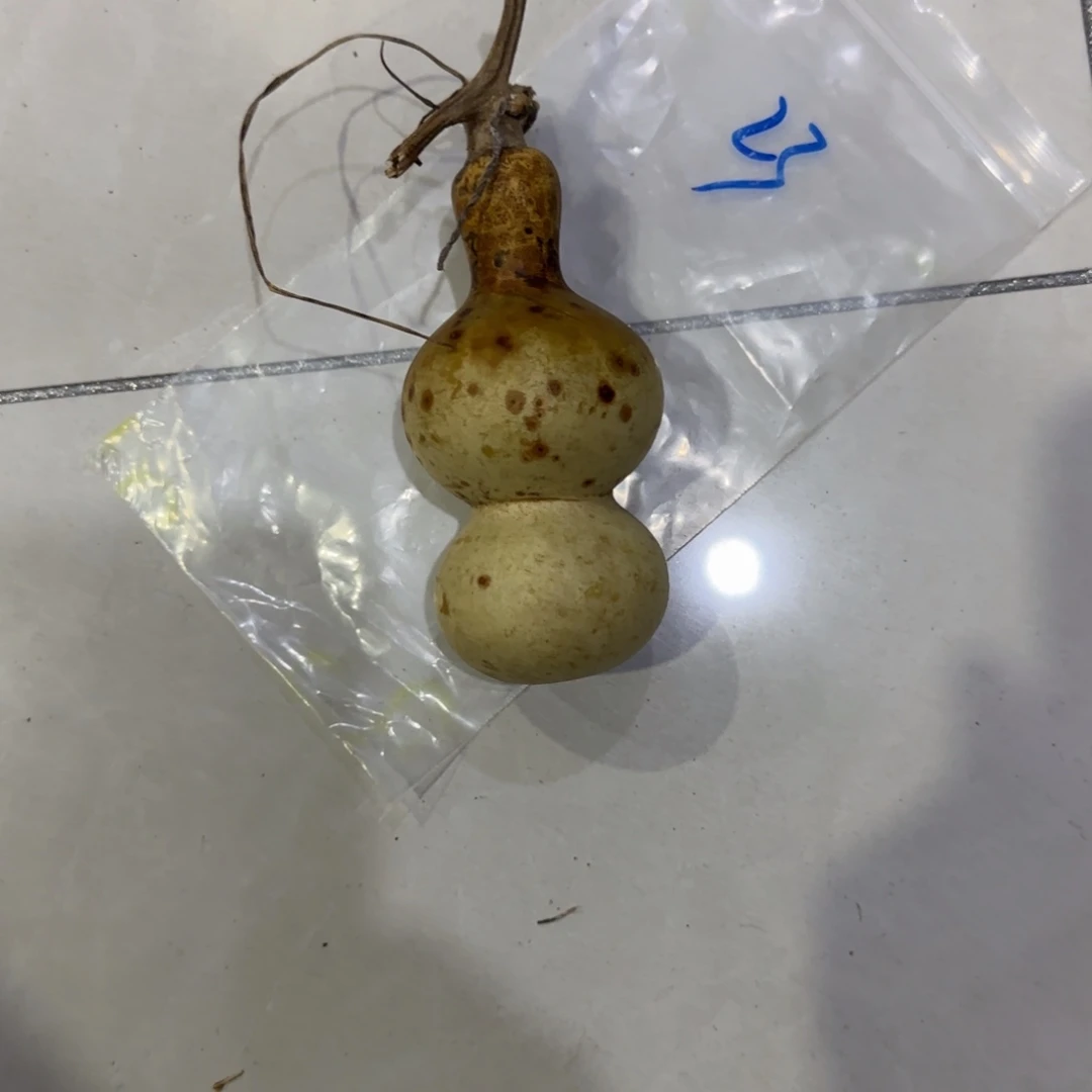 小***牛青及不包成ghhggggggggh