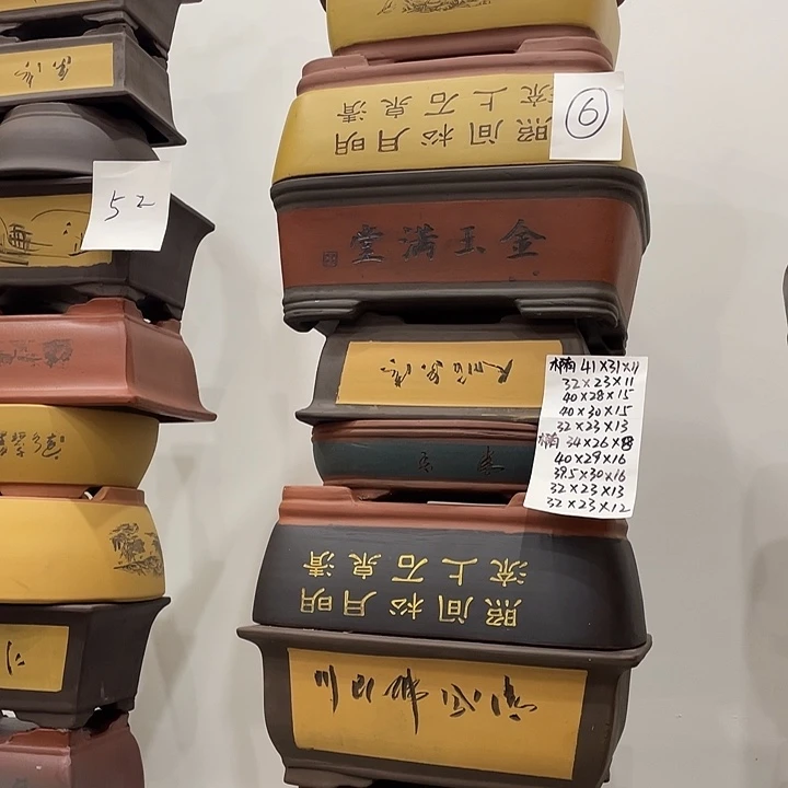 06紫砂捡头焦虑low来