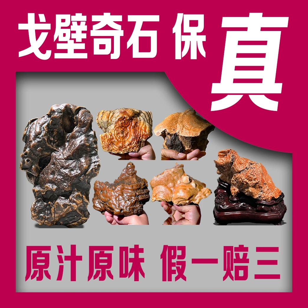 一号付米链接/观赏石/阿拉善戈壁石