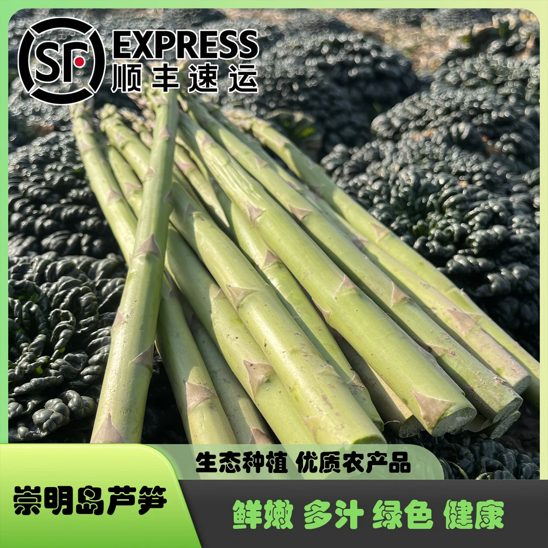 【易小菜精选】精品崇明岛芦笋 鲜嫩多汁 新鲜采摘 生态种植