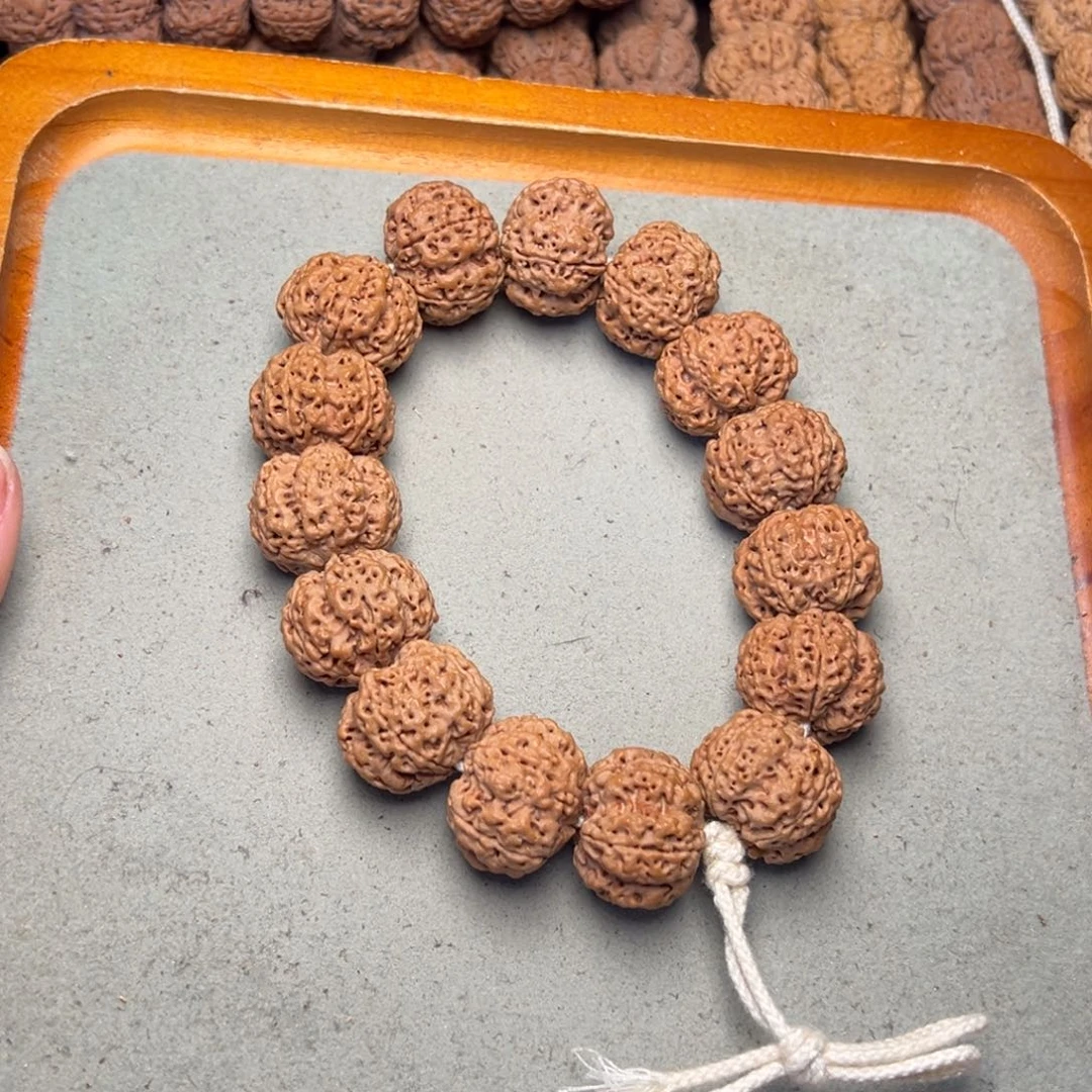 17号金刚菩提古龙梅花23