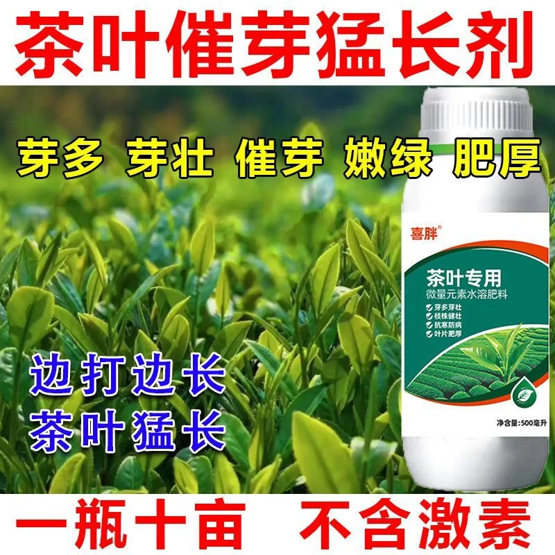 茶叶茶树专用叶面肥茶叶催芽剂催芽素芽长嫩绿抗寒抗冻多芽嫩芽
