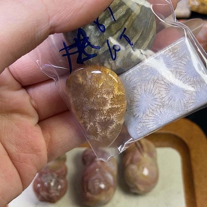 硅化珊瑚（珊瑚玉）珠宝金石合金A****王