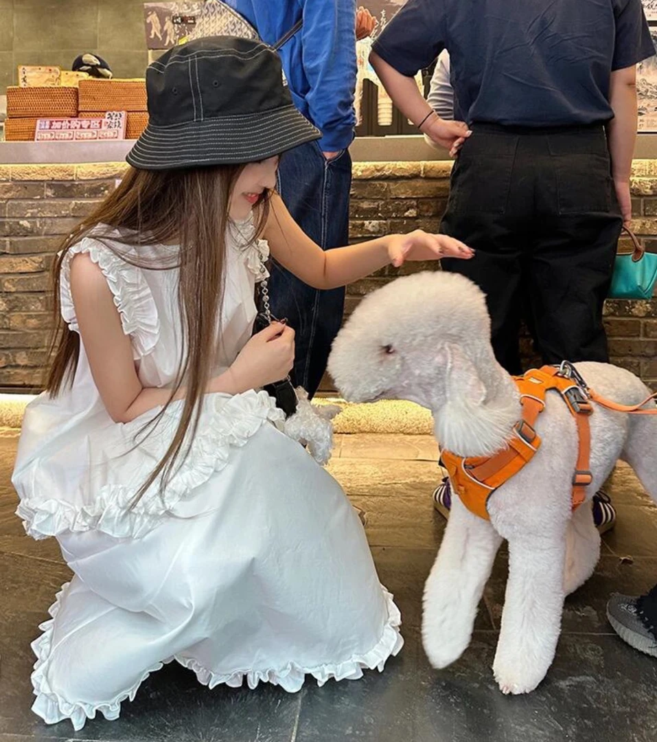 （肆意浪漫）甜美白色女款夏季小众宽松无袖娃娃衫+半裙套装C483