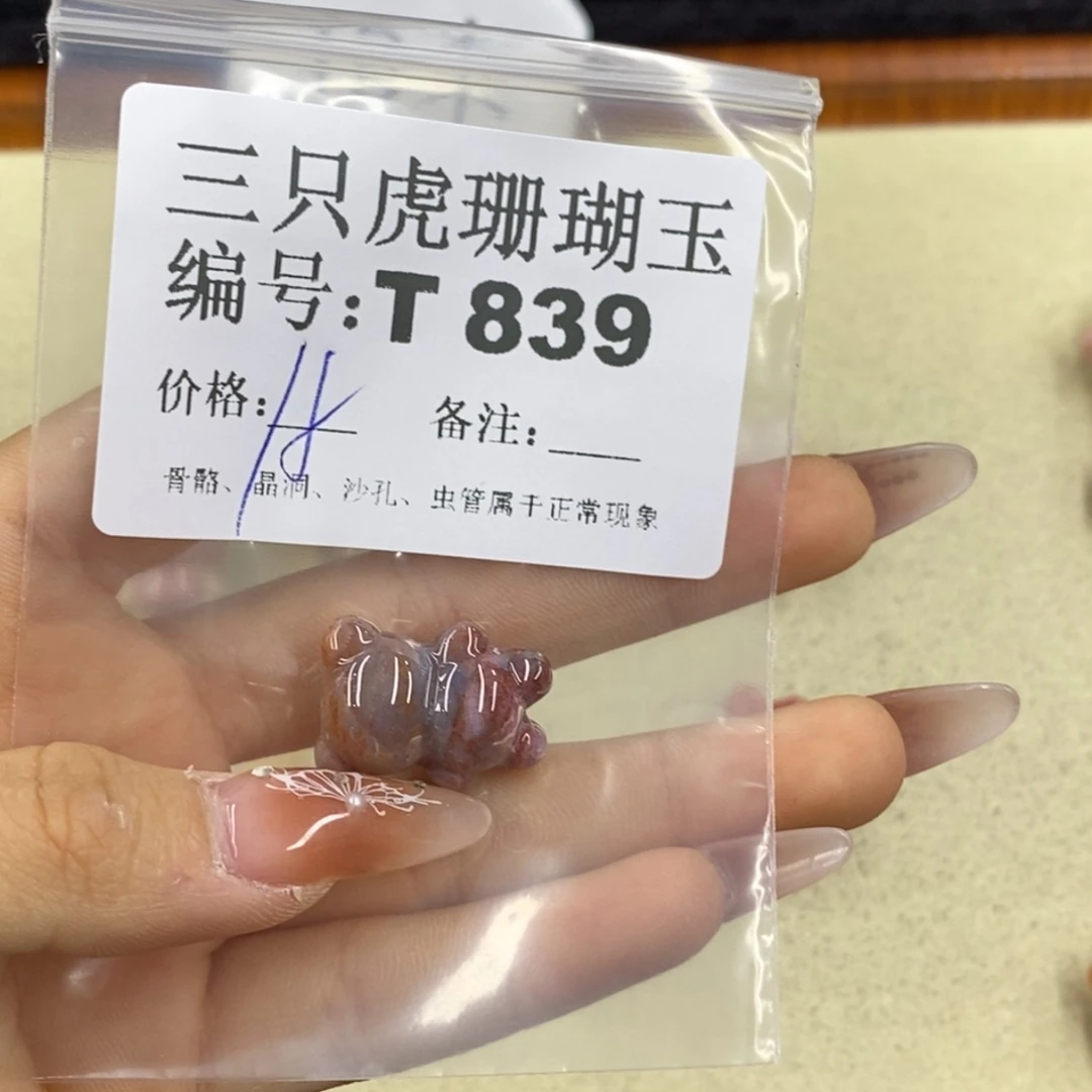硅化珊瑚（珊瑚玉）1足银镀金镶嵌戴****〜