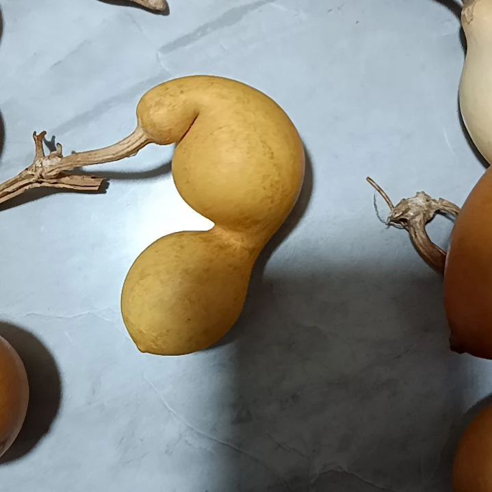 爱*惠葫芦葫芦葫芦葫芦葫芦