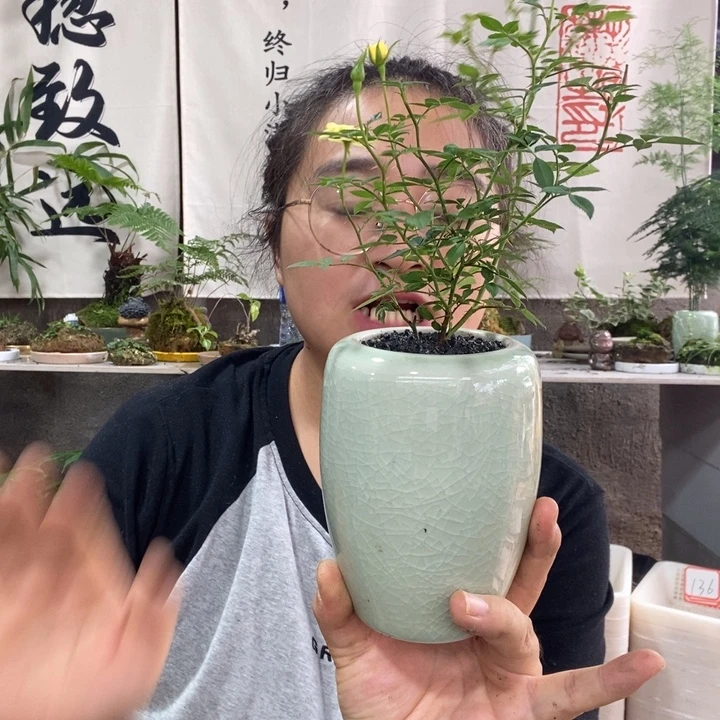 G***G无花朵一物一拍 49