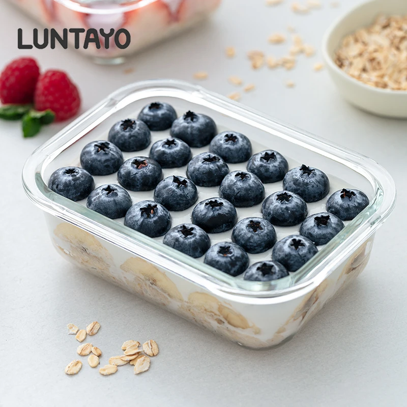 LUNTAYO日本燕麦杯隔夜酸奶食品级密封可微波早餐碗带盖玻璃盒子