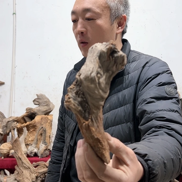 柏木哈*妮我们的生活也是