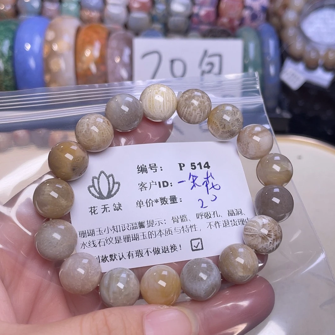 一****未镶嵌手镯硅化玉