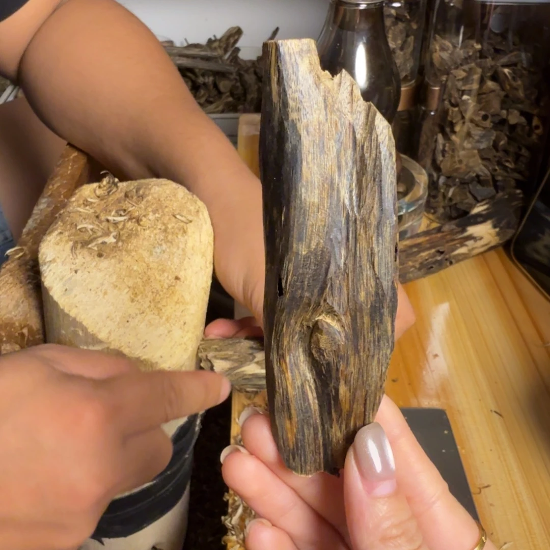 沉香奇楠沉香虫漏原料15克