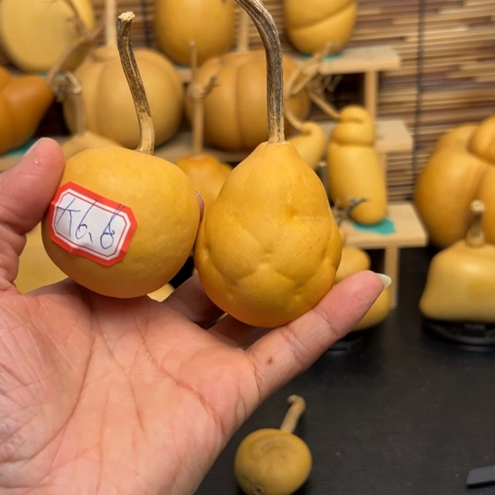 ～****～226665665556888