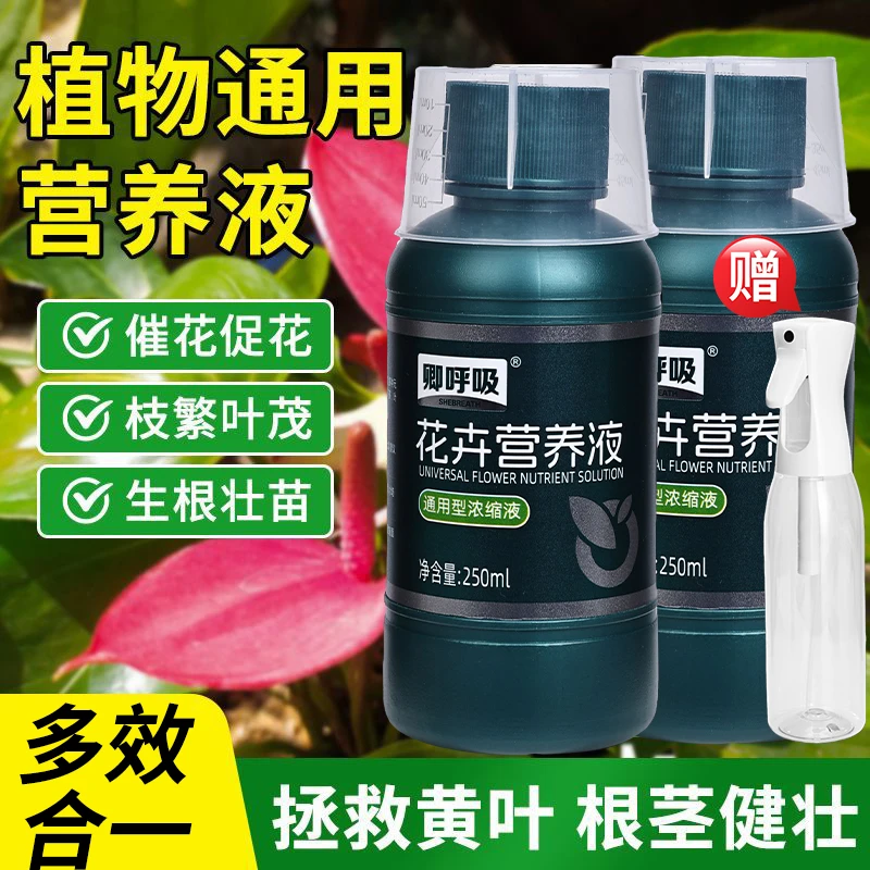 植物营养液通用型家用花肥通用化花卉盆栽绿萝叶绿植家庭园艺肥料