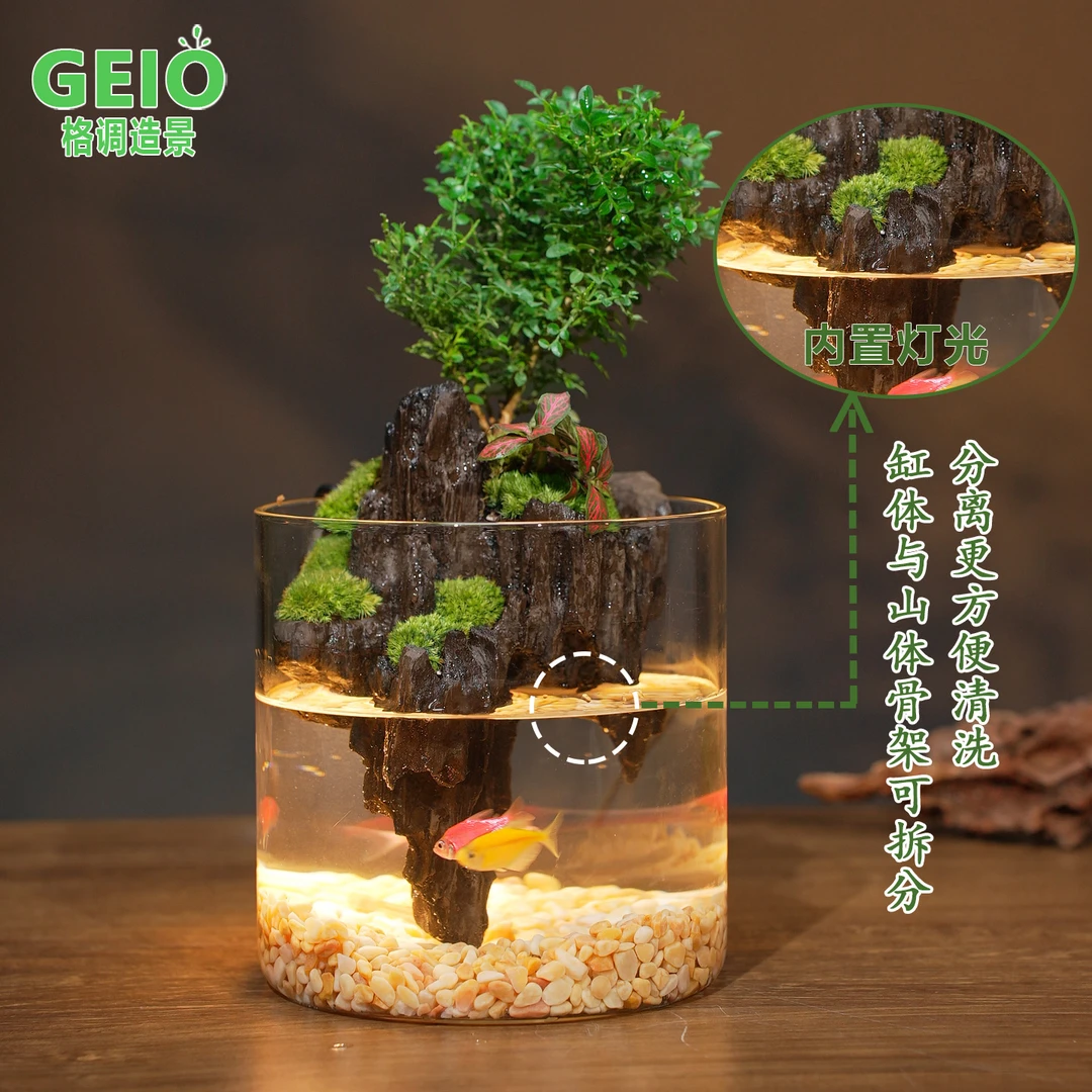 达摩九里香绿植盆栽创意桌面微景观室内可养鱼懒人好养景观15*15c
