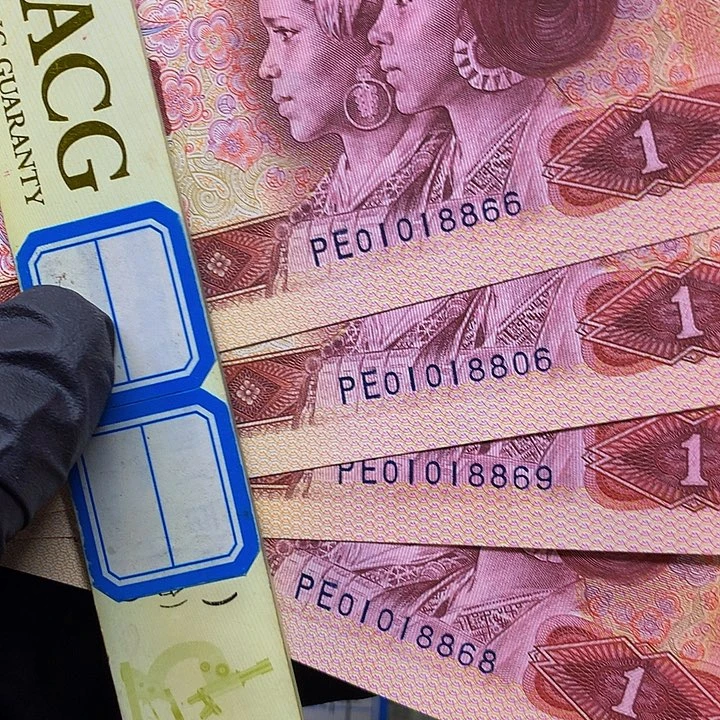 p****n801至尊金龙王绝品怕吧