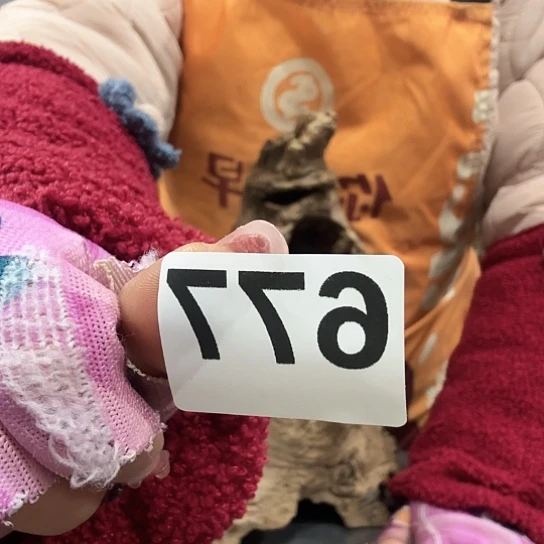 剩*紫砂壶的制作方法是