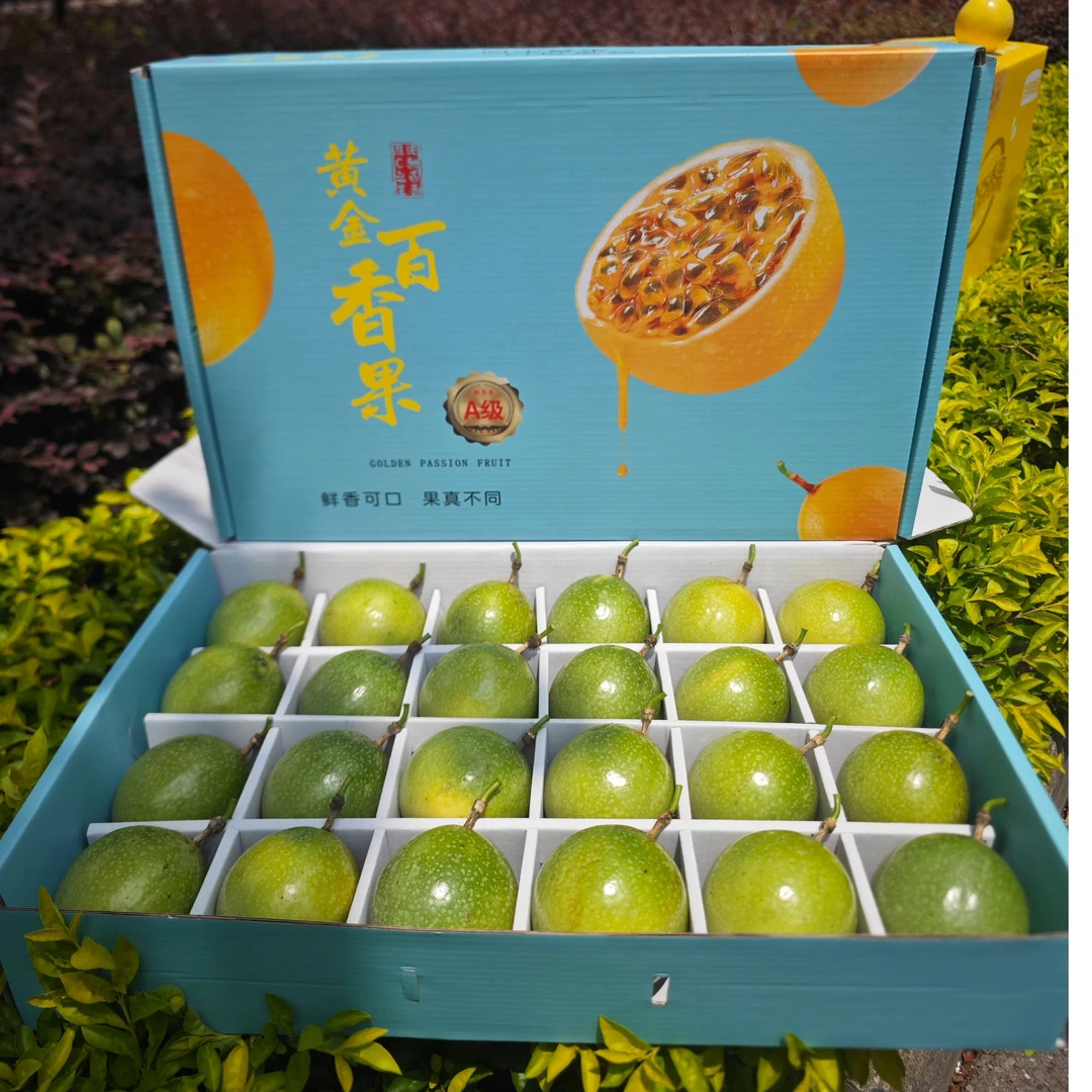 广西钦蜜9号黄金百香果新鲜采摘自然成熟纯甜可口营养丰富