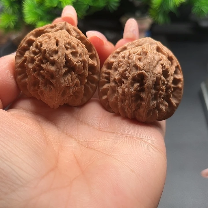 核桃41三角白全品