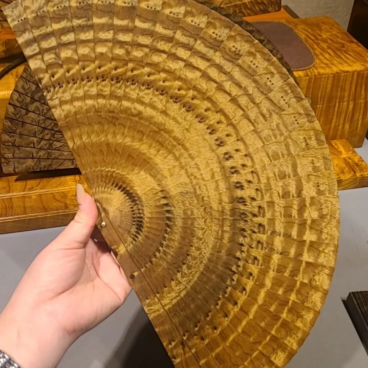 金丝楠21小叶桢楠金丝楠木苏扇老料