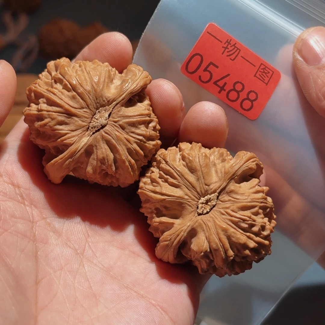 把件文玩核桃白狮子