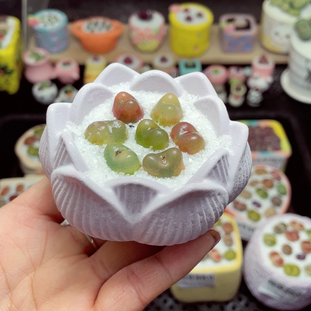 w9373 带盆土发货-零下地区拍保温箱