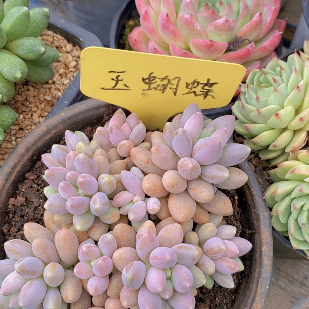 清货专场，仅限今天